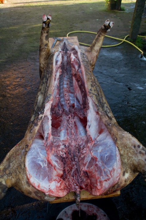 A matanza do porco A matanza do porco