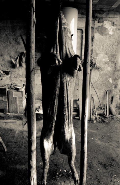 A matanza do porco A matanza do porco