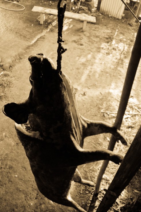 A matanza do porco A matanza do porco