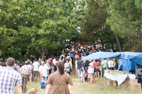 Os Milagros do Araño