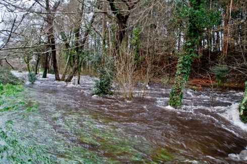 anegamento3 (1 de 1)