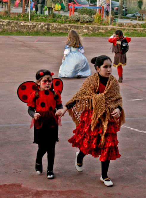 entroido_aranho (14)