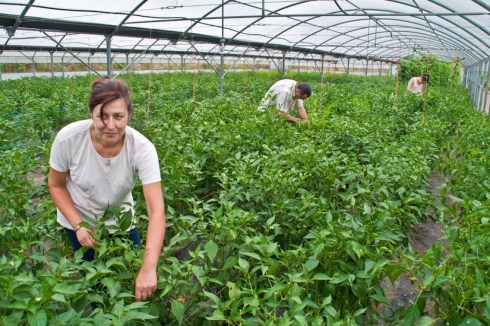 Rmeria Nieves Castro Barbudo 175