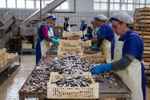 conserveira_Rianxo (11)