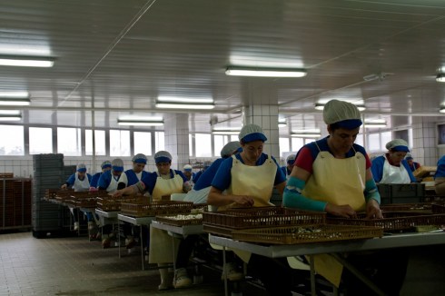 conserveira_Rianxo (21)