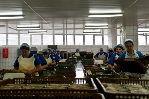 conserveira_Rianxo (22)