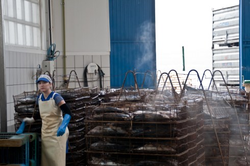 conserveira_Rianxo (36)