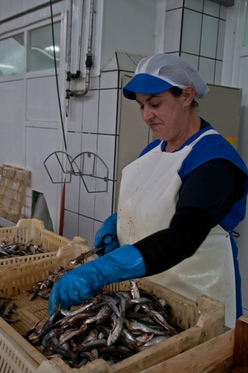 conserveira_Rianxo (37)