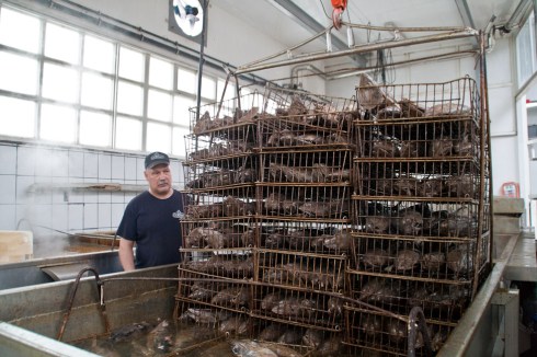 conserveira_Rianxo (42)