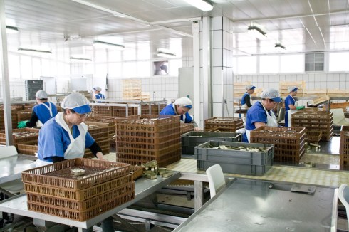 conserveira_Rianxo (45)