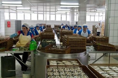 conserveira_Rianxo (46)