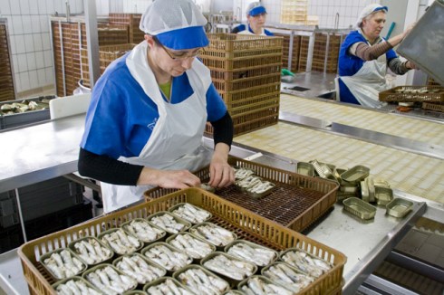 conserveira_Rianxo (48)