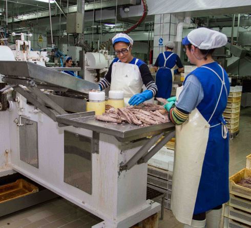 conserveira_Rianxo (8)