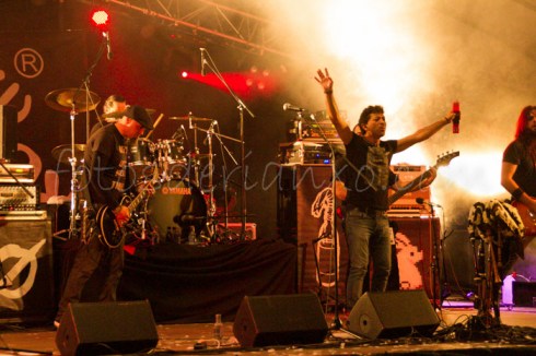 rockinrian2014 (30)