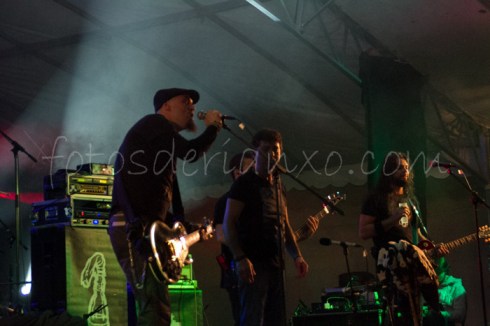 rockinrian2014 (33)