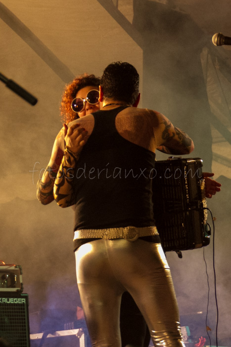 rockinrian2014 (5)