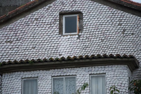 19102014-20141019_029