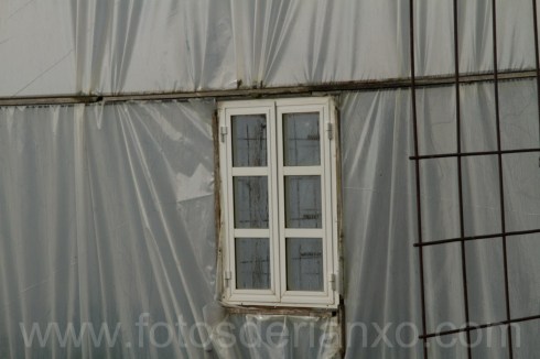 IMG_5237