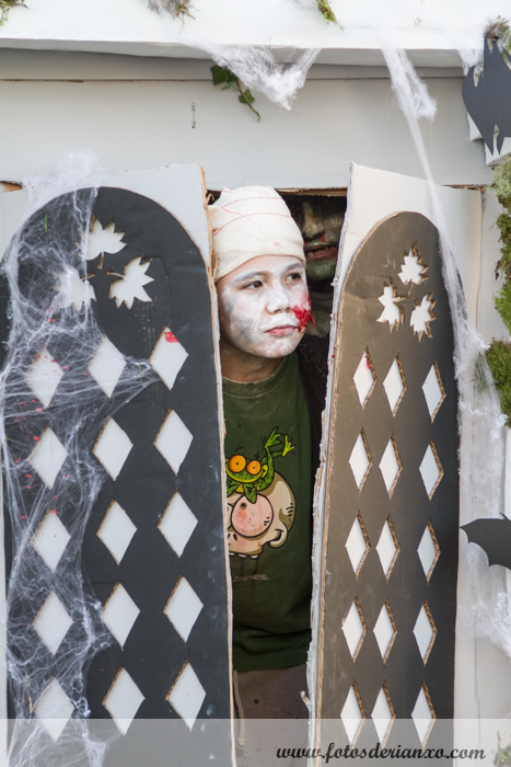 carrozas_taragonha 114