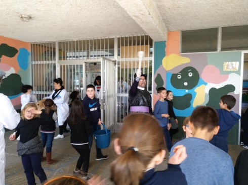 entroido-brea-segade-2017-13