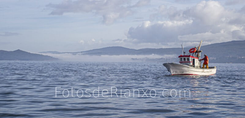 captura_volandeira_6